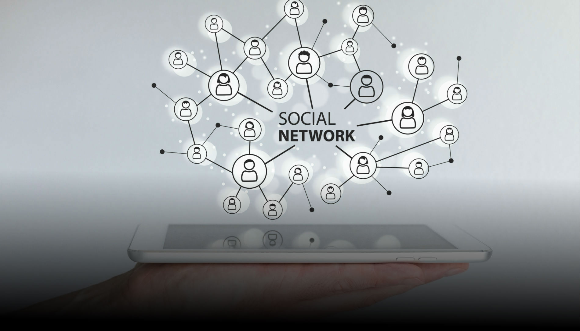 NETWORK